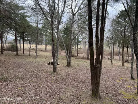 116 Gibson Rd, Lancing, TN 37770 photo 43