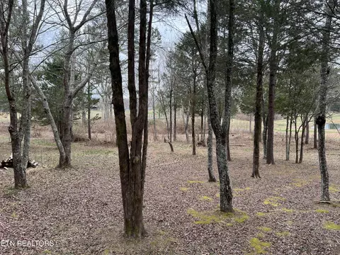 116 Gibson Rd, Lancing, TN 37770 photo 44