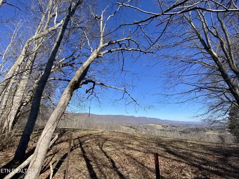 0 365 Acres Berry Hollow Rd, Speedwell, TN 37870