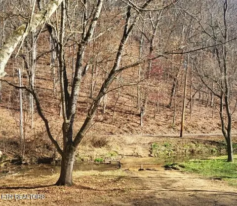 0 Dulaney Rd, Mosheim, TN 37818