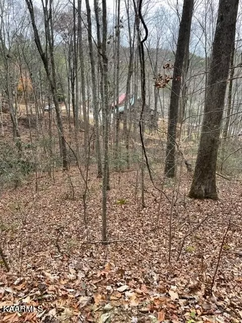 5 Hickory Hollow Way, Sevierville, TN 37862