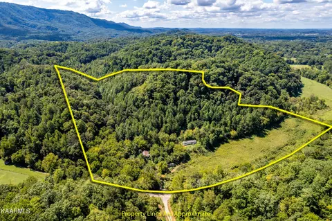 1455 Dripping Springs Rd, Seymour, TN 37865