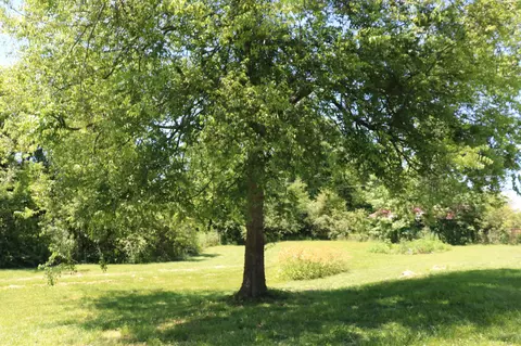8501 Fox Hill Rd, Baxter, TN 38544 photo 25