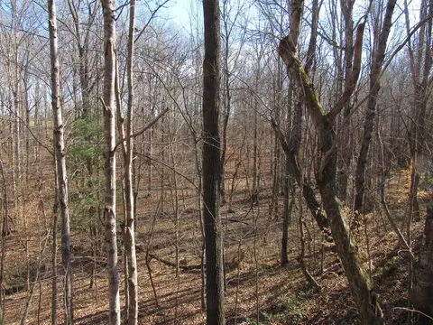 178 Cardinal Ln, Robbins, TN 37852 photo 10