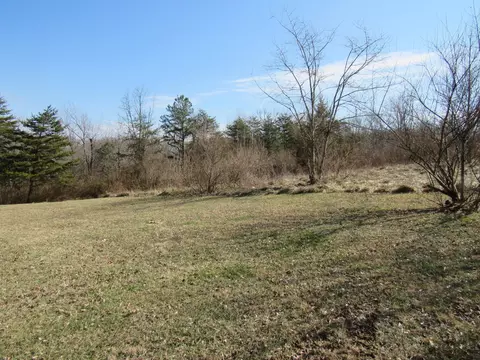 178 Cardinal Ln, Robbins, TN 37852 photo 4