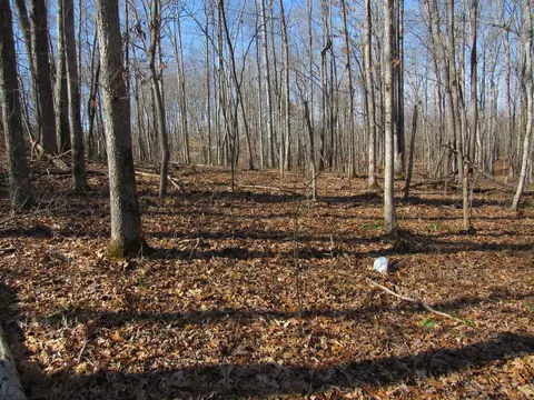 178 Cardinal Ln, Robbins, TN 37852 photo 13