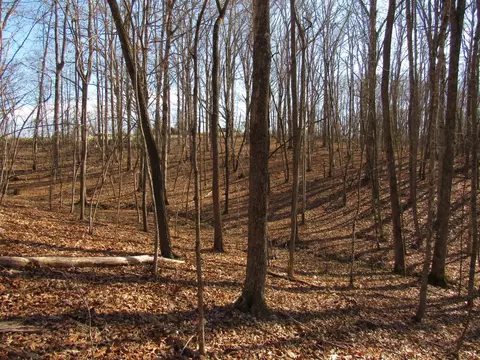 178 Cardinal Ln, Robbins, TN 37852 photo 24