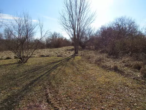 178 Cardinal Ln, Robbins, TN 37852 photo 3