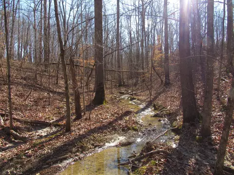 178 Cardinal Ln, Robbins, TN 37852 photo 18