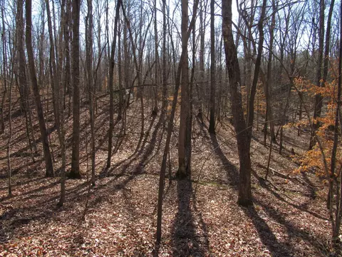 178 Cardinal Ln, Robbins, TN 37852 photo 23
