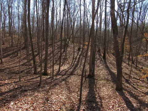 178 Cardinal Ln, Robbins, TN 37852 photo 20