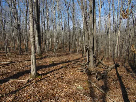178 Cardinal Ln, Robbins, TN 37852 photo 15