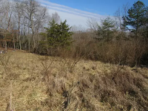 178 Cardinal Ln, Robbins, TN 37852 photo 8