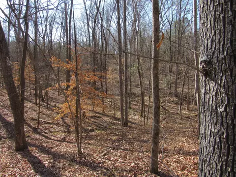 178 Cardinal Ln, Robbins, TN 37852 photo 21