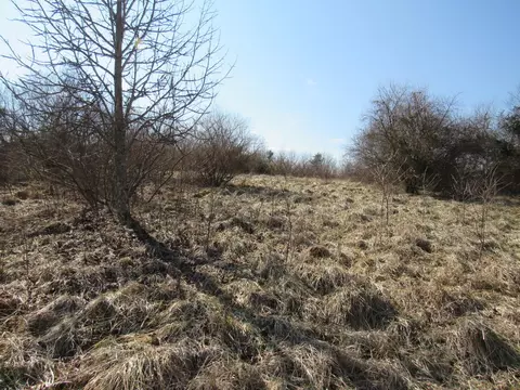 178 Cardinal Ln, Robbins, TN 37852 photo 7