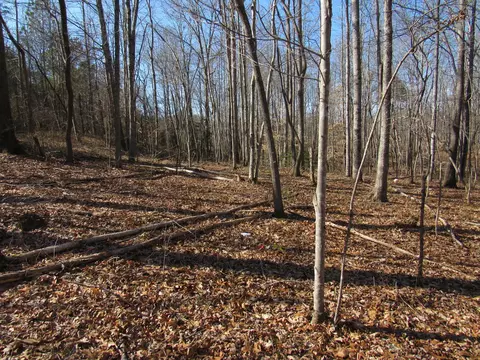 178 Cardinal Ln, Robbins, TN 37852 photo 14