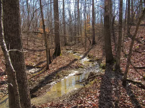 178 Cardinal Ln, Robbins, TN 37852 photo 2