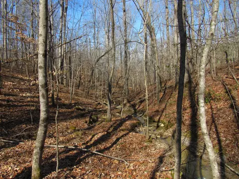 178 Cardinal Ln, Robbins, TN 37852 photo 1