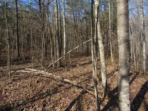 178 Cardinal Ln, Robbins, TN 37852 photo 11