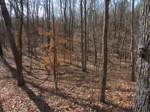 178 Cardinal Ln, Robbins, TN 37852 photo 22