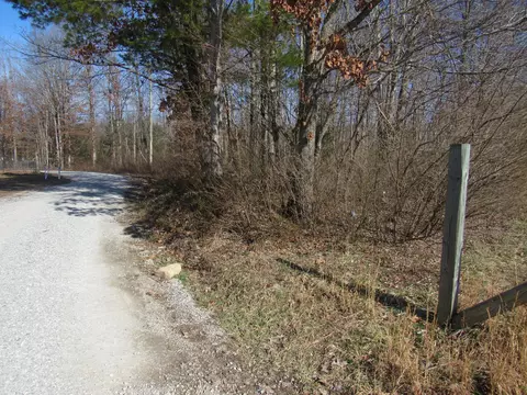 178 Cardinal Ln, Robbins, TN 37852 photo 27