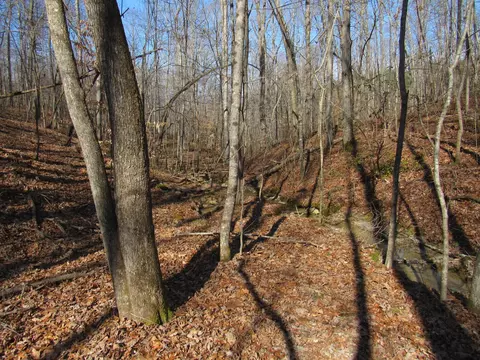 178 Cardinal Ln, Robbins, TN 37852 photo 17
