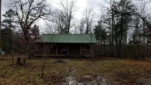 341 Circle Dr, Deer Lodge, TN 37726 photo 5