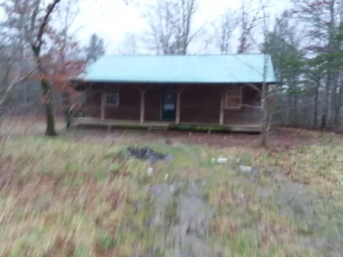 341 Circle Dr, Deer Lodge, TN 37726 photo 1