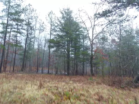 341 Circle Dr, Deer Lodge, TN 37726 photo 26