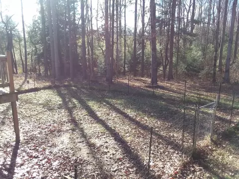 170 Taylor Road Rd, Clarkrange, TN 38553 photo 20