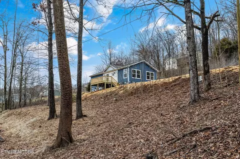 165 Duke Ln, Luttrell, TN 37779 photo 21