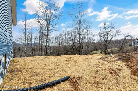 165 Duke Ln, Luttrell, TN 37779 photo 5