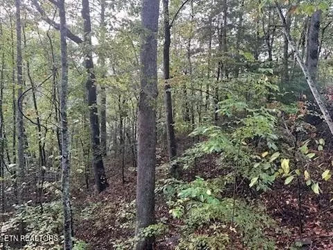 20 Sugar Maple Loop, Sevierville, TN 37862 photo 10