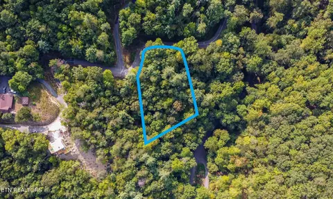 20 Sugar Maple Loop, Sevierville, TN 37862 photo 4