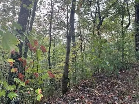 20 Sugar Maple Loop, Sevierville, TN 37862 photo 2