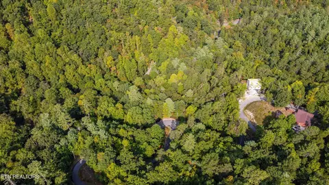 20 Sugar Maple Loop, Sevierville, TN 37862 photo 6