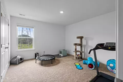 252 Ibis Loop, Oak Ridge, TN 37830 photo 29