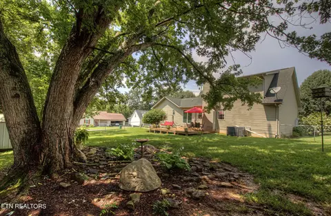 7600 Tree Bark Rd, Corryton, TN 37721 photo 30