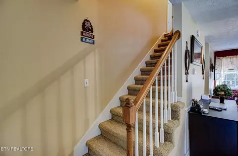 7600 Tree Bark Rd, Corryton, TN 37721 photo 15