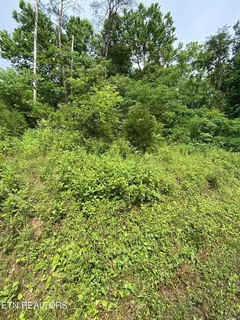0 Mehaffey Rd, Powell, TN 37849