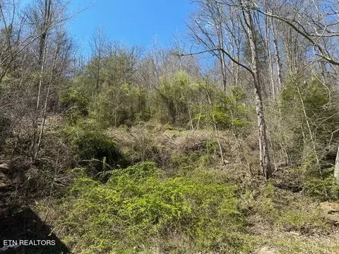 4653 Hwy 25w S, La Follette, TN 37766