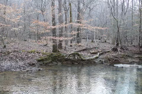 0 White Oak Circle Rd, Sunbright, TN 37872