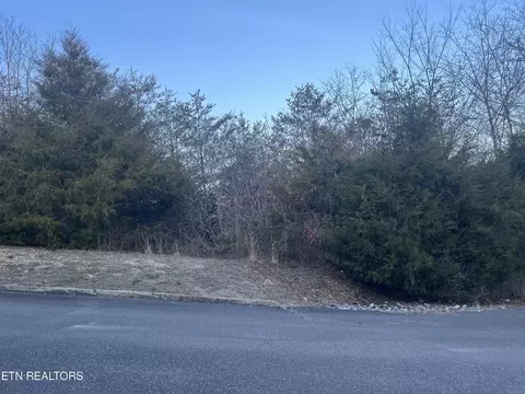 0 Eagle Feather Dr, Sevierville, TN 37876
