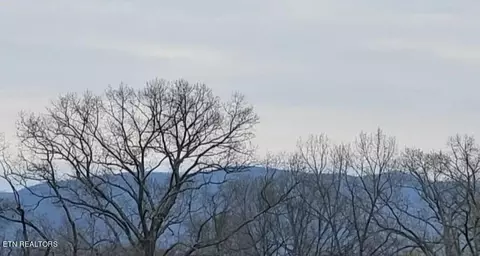 34 Nightfall Ln, White Pine, TN 37890 photo 3