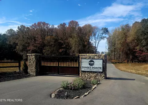 34 Nightfall Ln, White Pine, TN 37890 photo 4