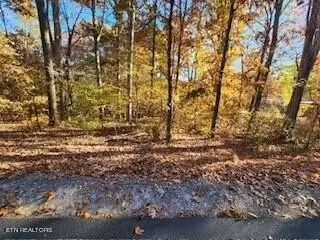 101 Chuniloti Way, Loudon, TN 37774