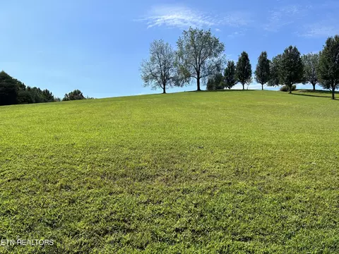 3515 Mountain View Ln, White Pine, TN 37890
