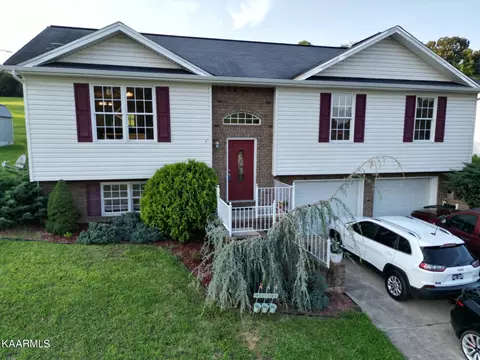 140 Hunters Run Ln, Mount Carmel, TN 37645