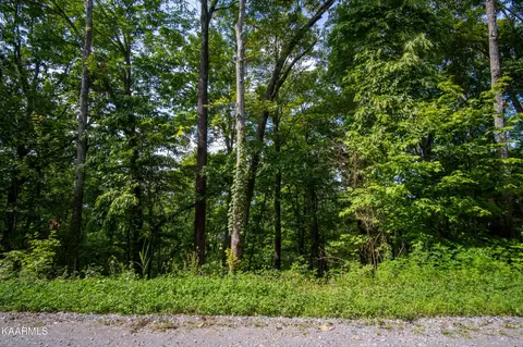 0 N Dogwood Ln, Sevierville, TN 37876