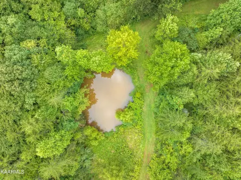 1274 Fork Rd, Greenback, TN 37742 photo 60